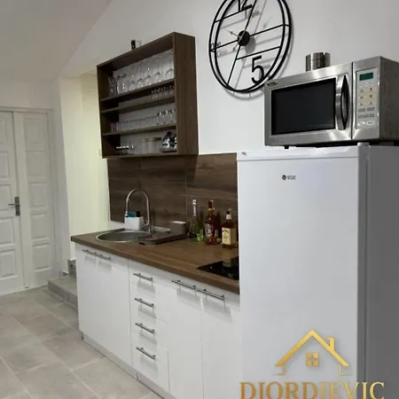 Djordjevic House